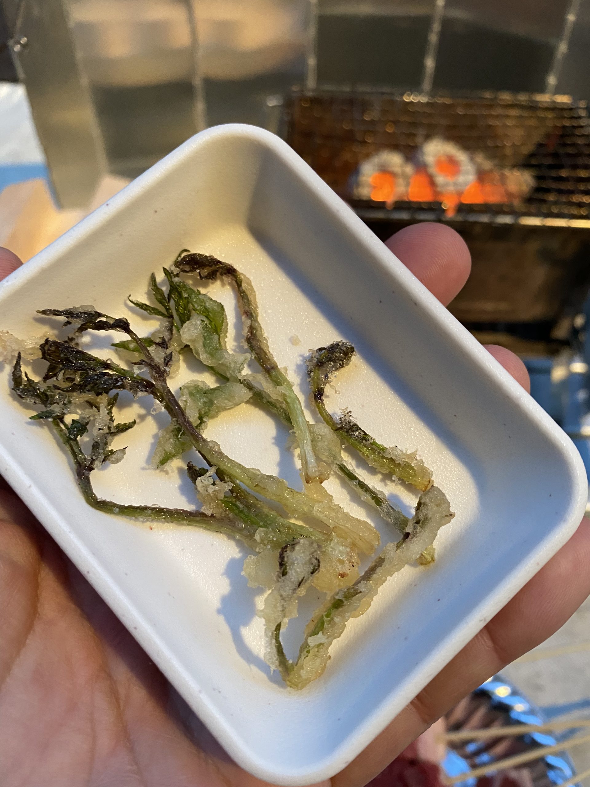 実験！気になっていたタラの芽！天ぷらで食べてみた！