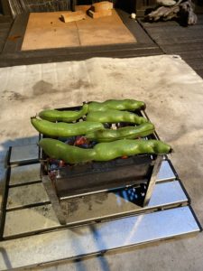 炭火でソラマメを焼く