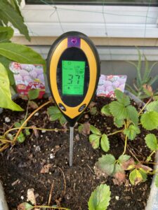 pH計測器で温度を測ってみる