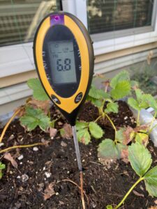 9月1日pHを測ってみる