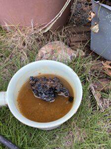 スラグを水に浸けて置く