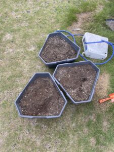 ジャガイモの植え付け準備