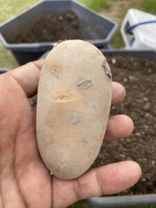 道の駅のジャガイモ