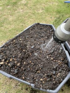 潅水中のジャガイモ