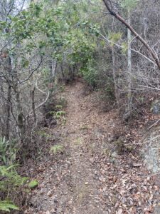 砥石城の登山道