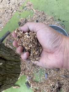 チェーンソーでできた木クズ